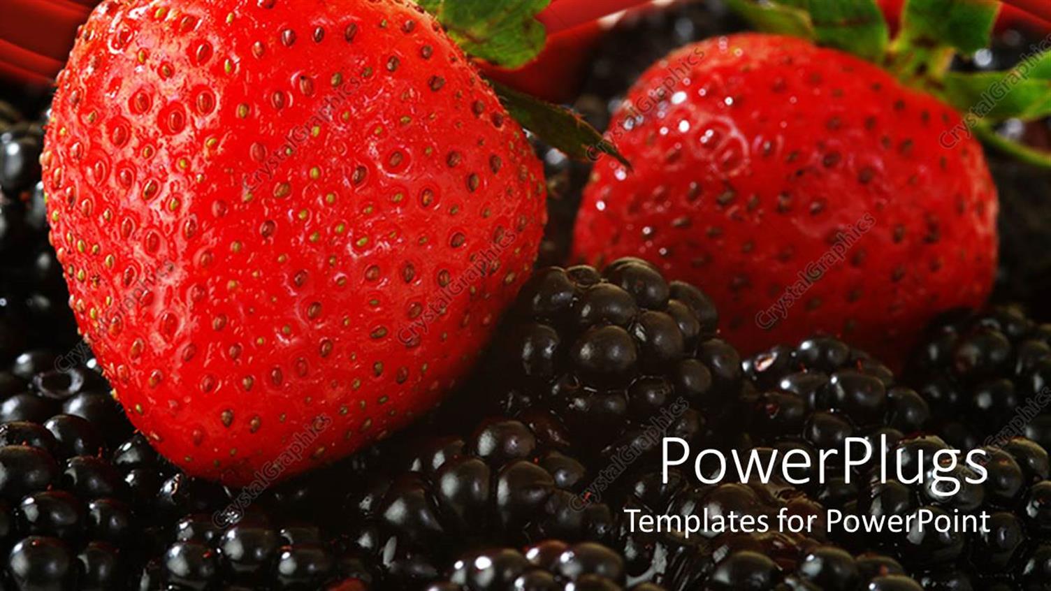 Premium Template for PowerPoint & Google Slides 