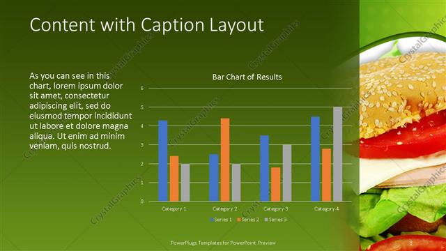 Content with Caption presentation slide layout