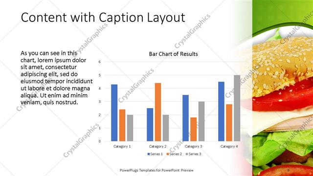 Content with Caption presentation slide layout