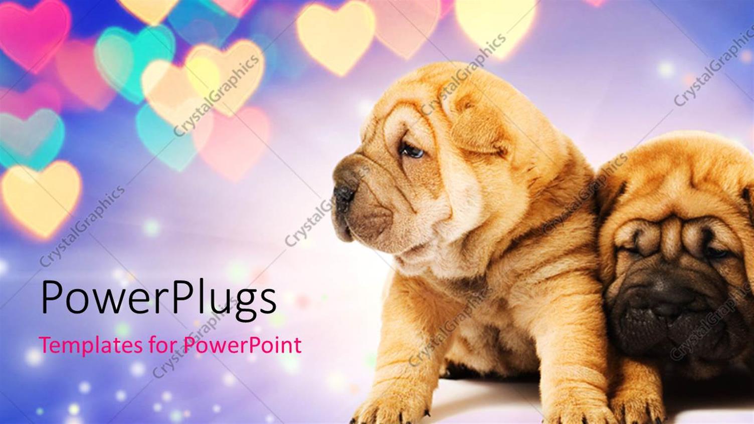 Premium Template for PowerPoint & Google Slides 