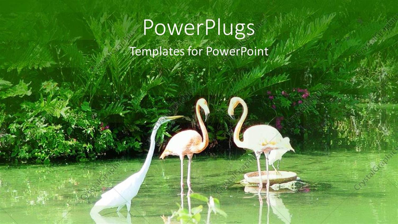 Premium Template for PowerPoint & Google Slides 