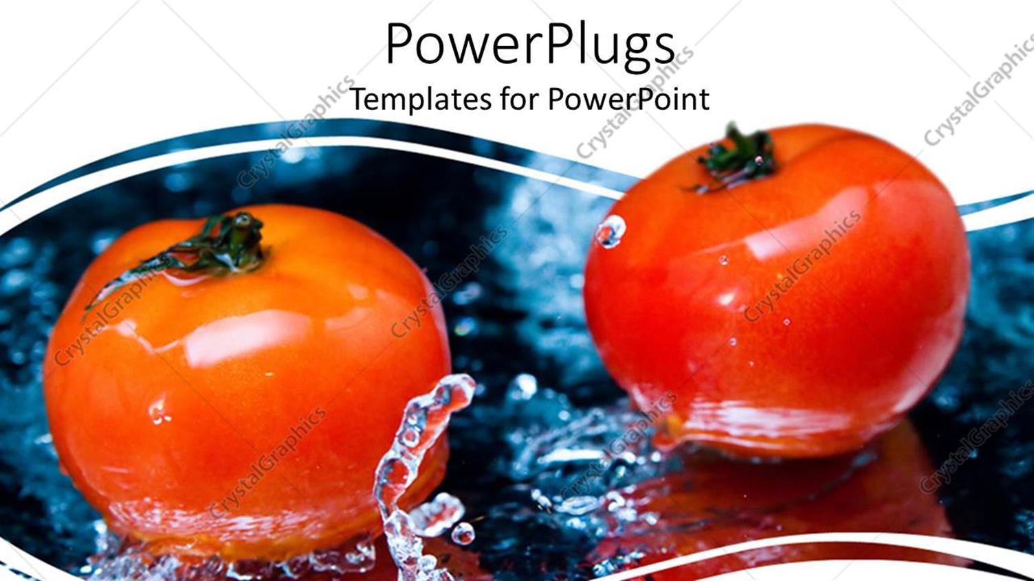 Premium Template for PowerPoint & Google Slides 