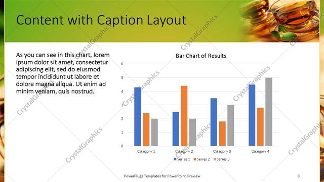Content with Caption presentation slide layout