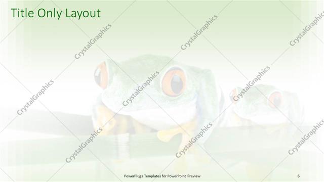 Title Only presentation slide layout