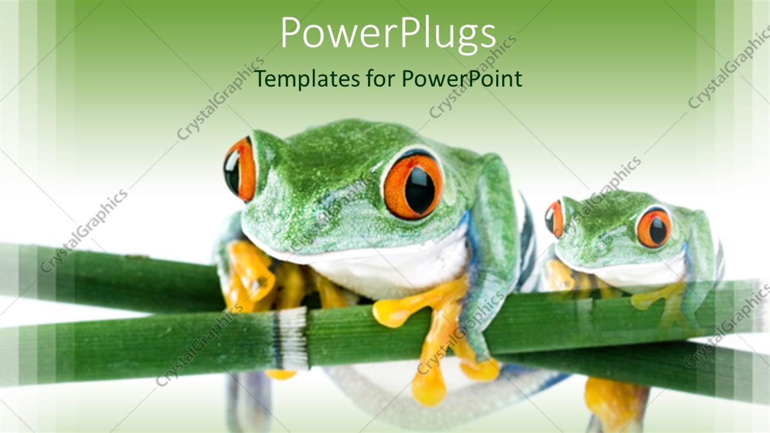 Premium Template for PowerPoint & Google Slides 