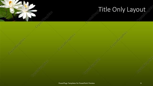 Title Only presentation slide layout