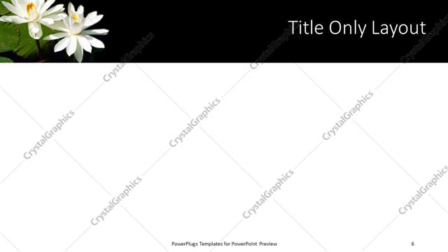 Title Only presentation slide layout