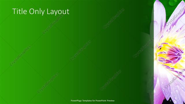 Title Only presentation slide layout