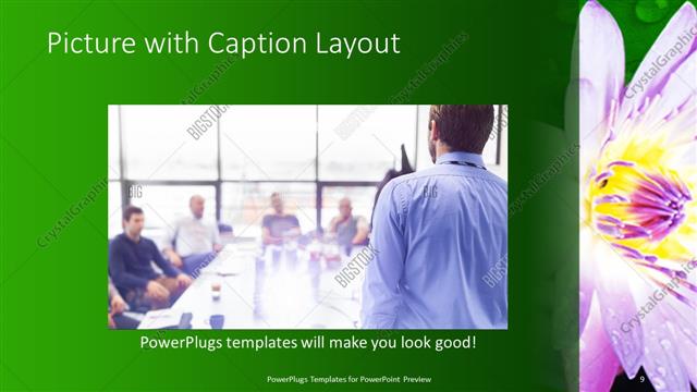 Picture with Caption presentation slide layout