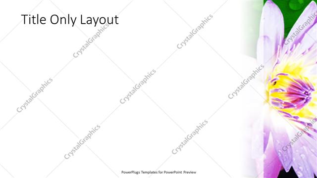 Title Only presentation slide layout