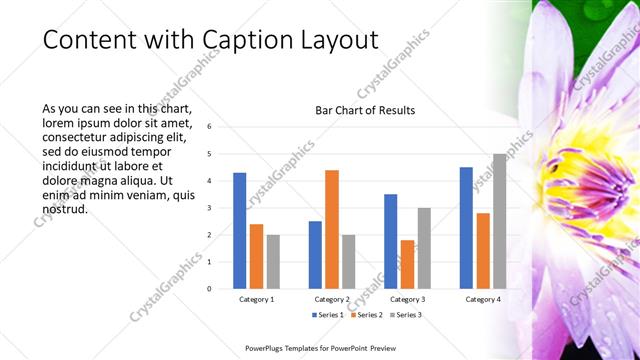 Content with Caption presentation slide layout