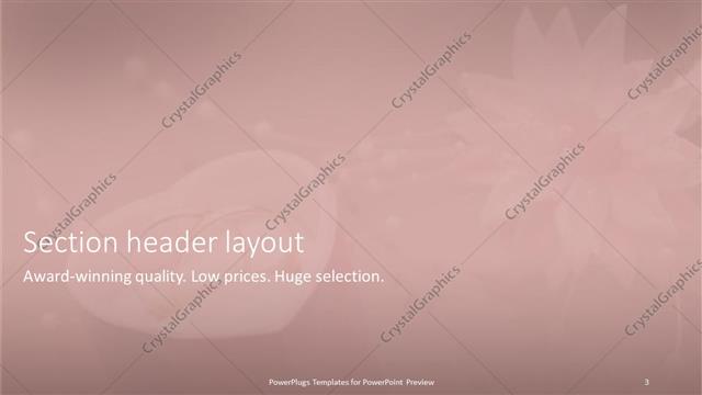 Section Header presentation slide layout