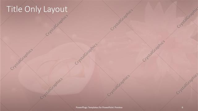 Title Only presentation slide layout