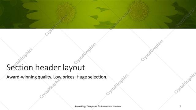 Section Header presentation slide layout