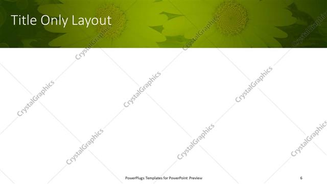 Title Only presentation slide layout