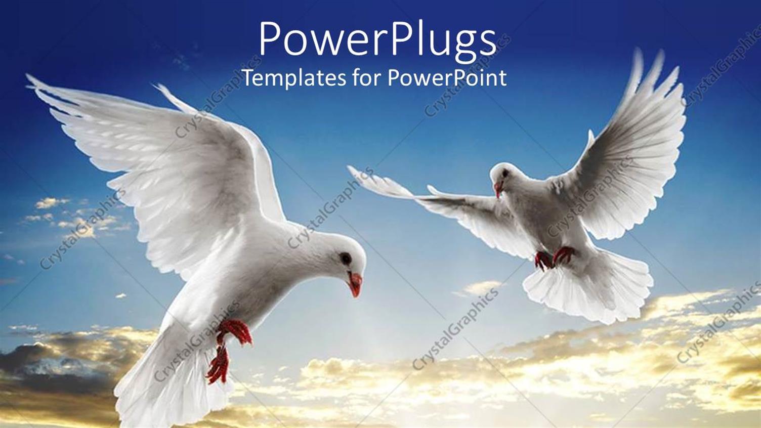 Premium Template for PowerPoint & Google Slides 