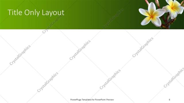 Title Only presentation slide layout