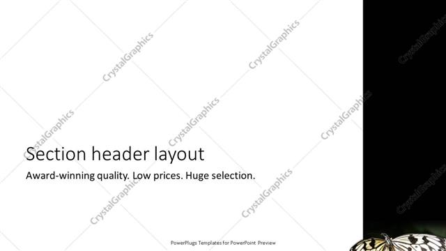 Section Header presentation slide layout