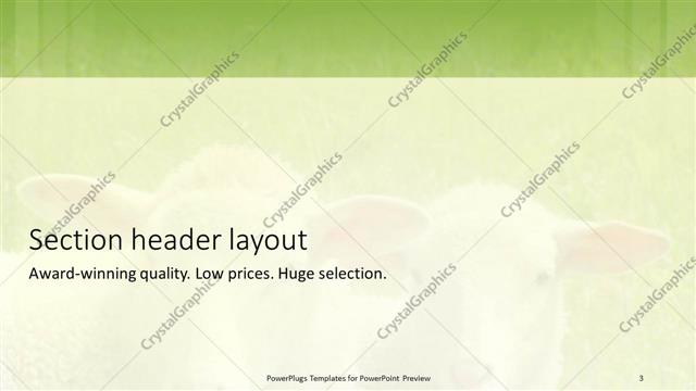 Section Header presentation slide layout
