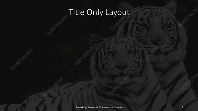 Title Only presentation slide layout