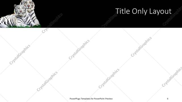 Title Only presentation slide layout