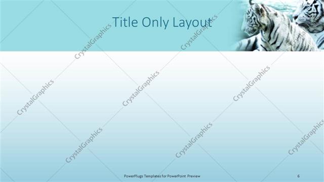 Title Only presentation slide layout