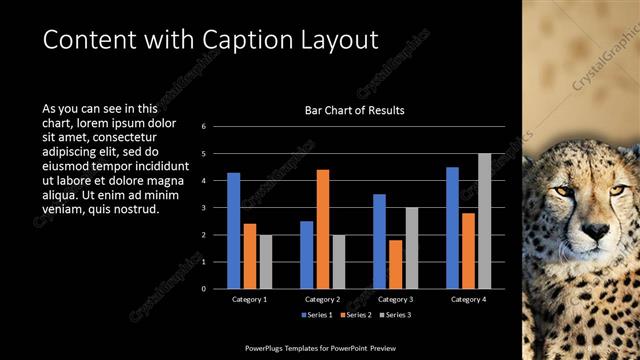 Content with Caption presentation slide layout