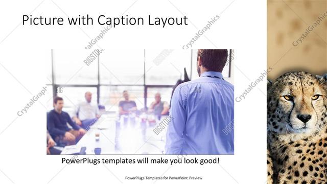 Picture with Caption presentation slide layout