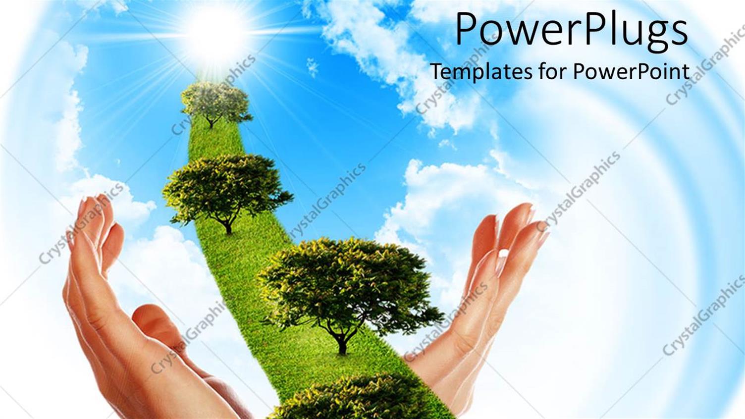 Premium Template for PowerPoint & Google Slides 