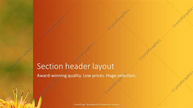 Section Header presentation slide layout