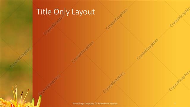 Title Only presentation slide layout