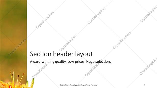 Section Header presentation slide layout