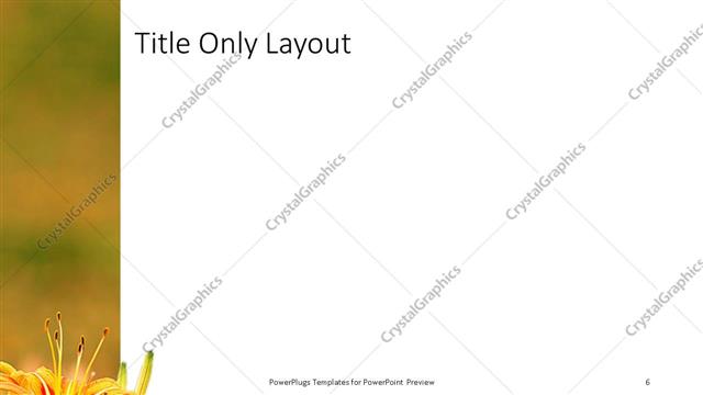 Title Only presentation slide layout