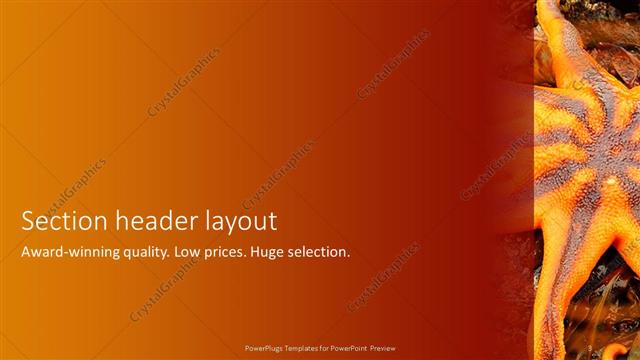 Section Header presentation slide layout