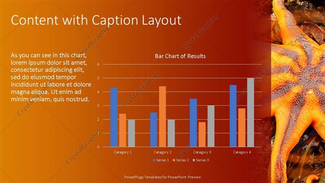 Content with Caption presentation slide layout