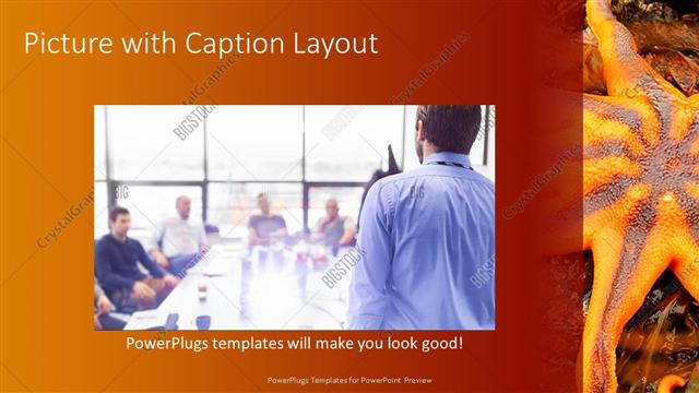 Picture with Caption presentation slide layout