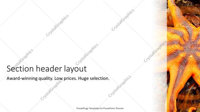 Section Header presentation slide layout