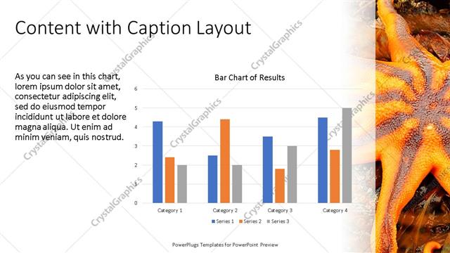 Content with Caption presentation slide layout