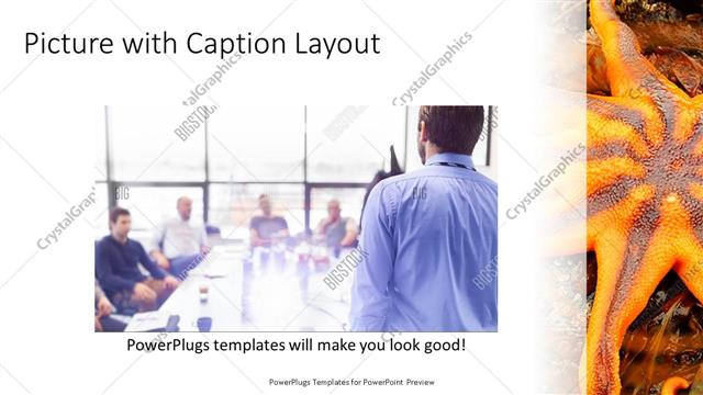 Picture with Caption presentation slide layout