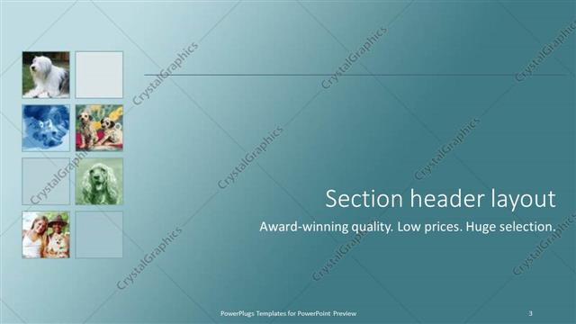 Section Header presentation slide layout
