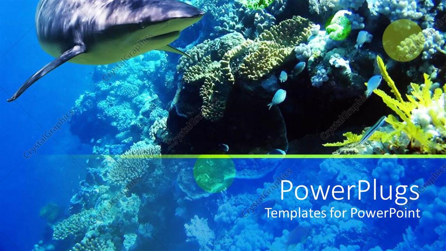 Premium Template for PowerPoint & Google Slides 