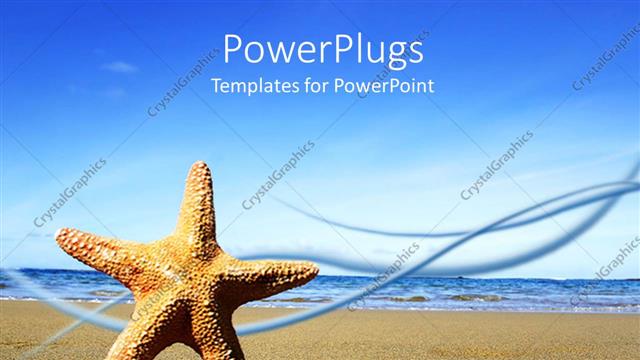  Presentation with starfish - Upright starfish in sand near ocean