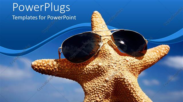  Presentation with starfish - Upright starfish in sand wearing sunglasses