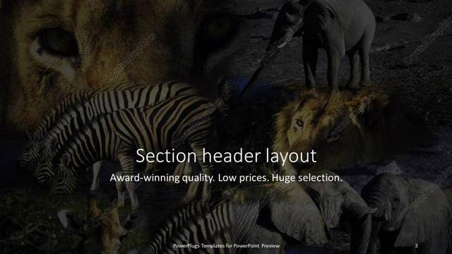 Section Header presentation slide layout