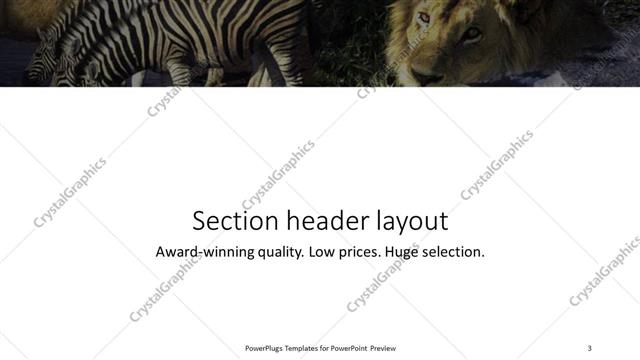 Section Header presentation slide layout