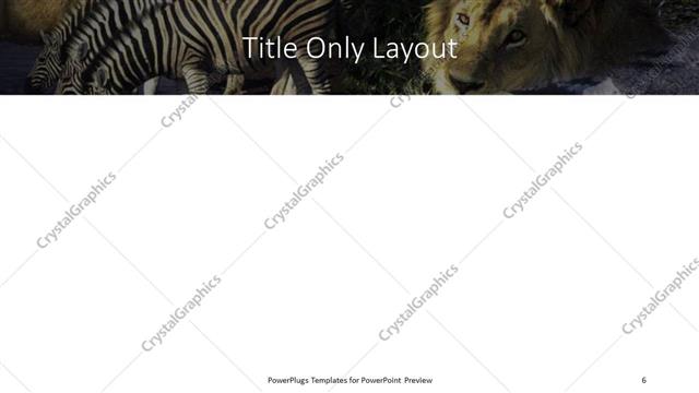 Title Only presentation slide layout