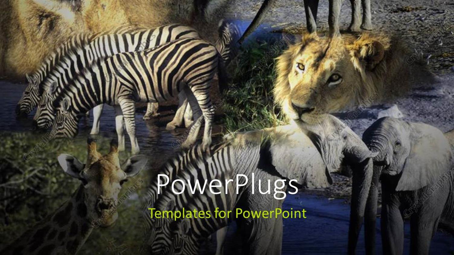 Premium Template for PowerPoint & Google Slides 