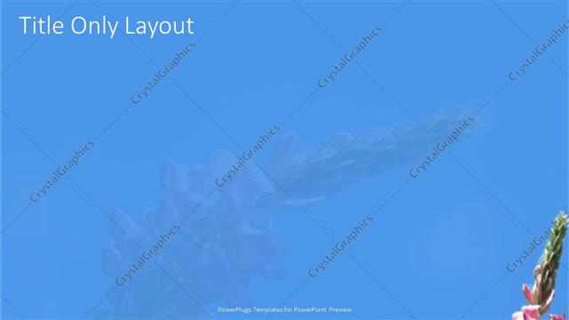 Title Only presentation slide layout