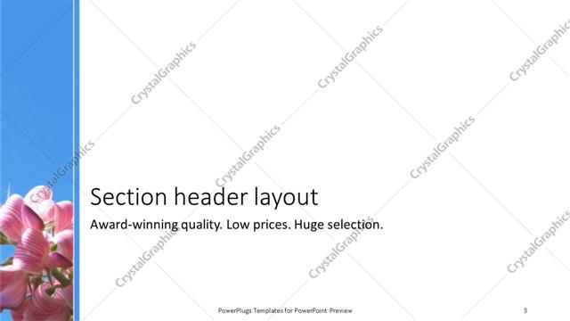 Section Header presentation slide layout