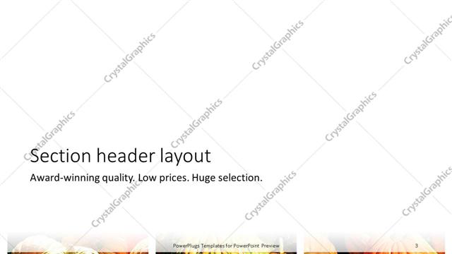 Section Header presentation slide layout